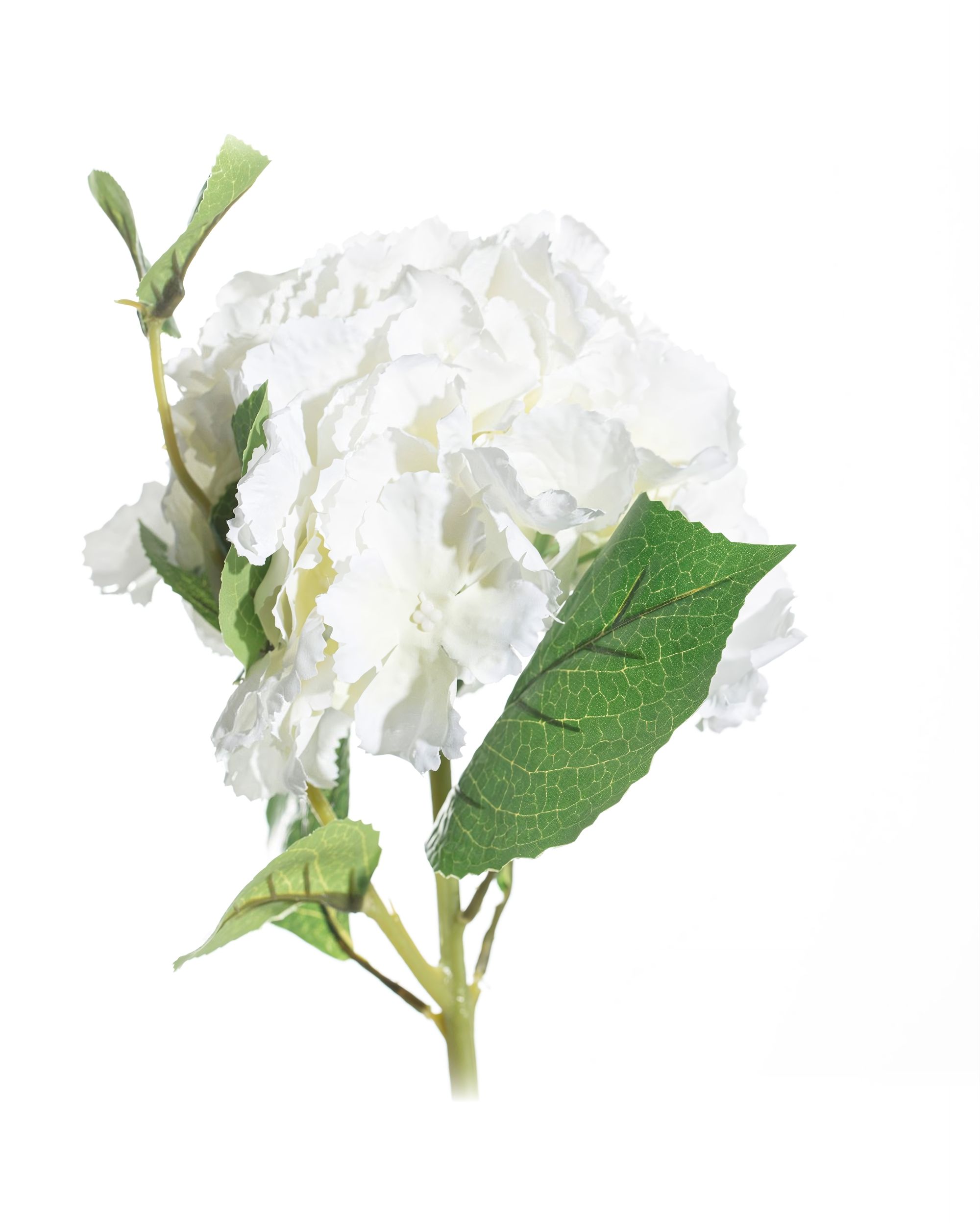 Sier Hortensia 65cm white