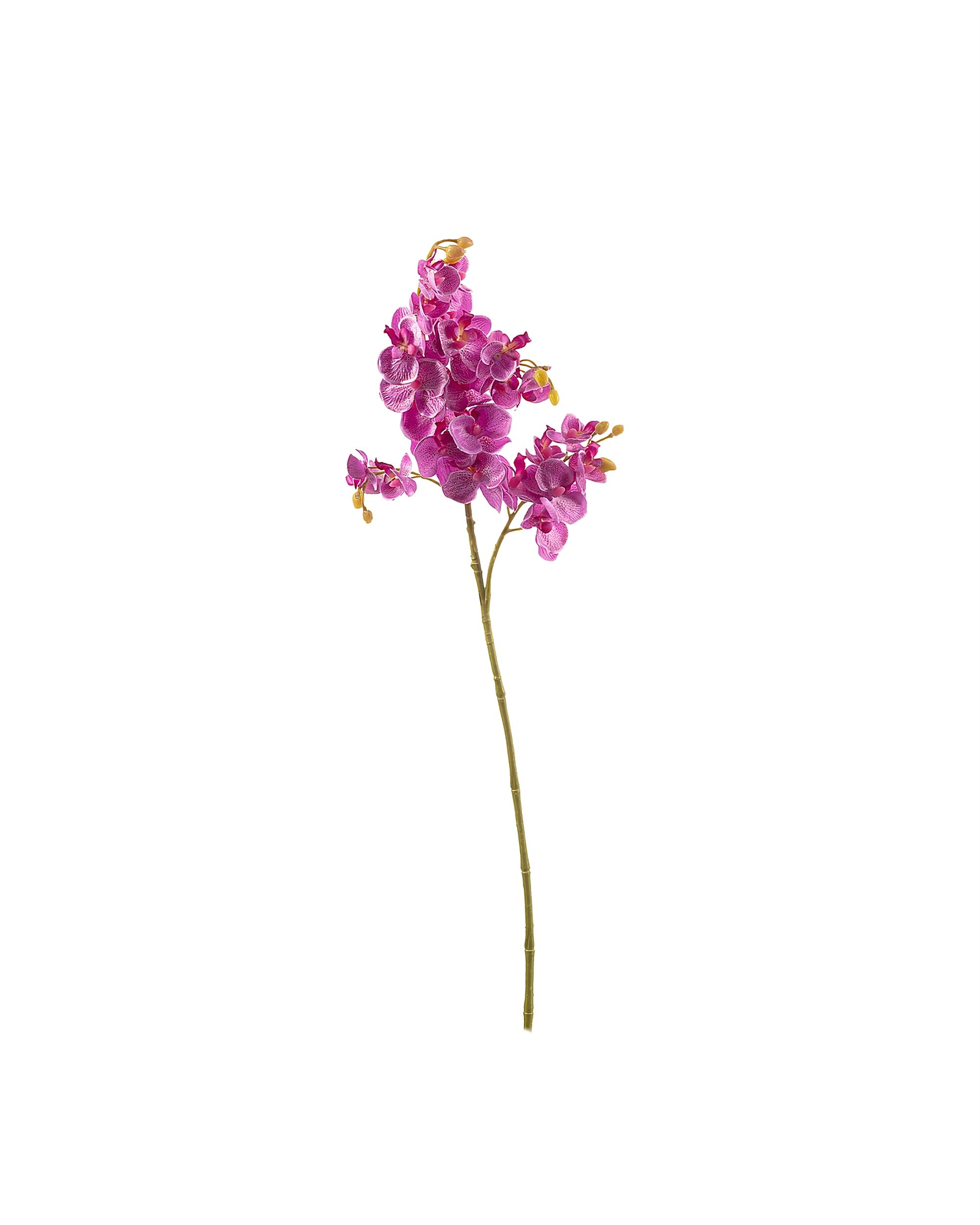 Kunstbloem Orchid Fuchsia 55cm