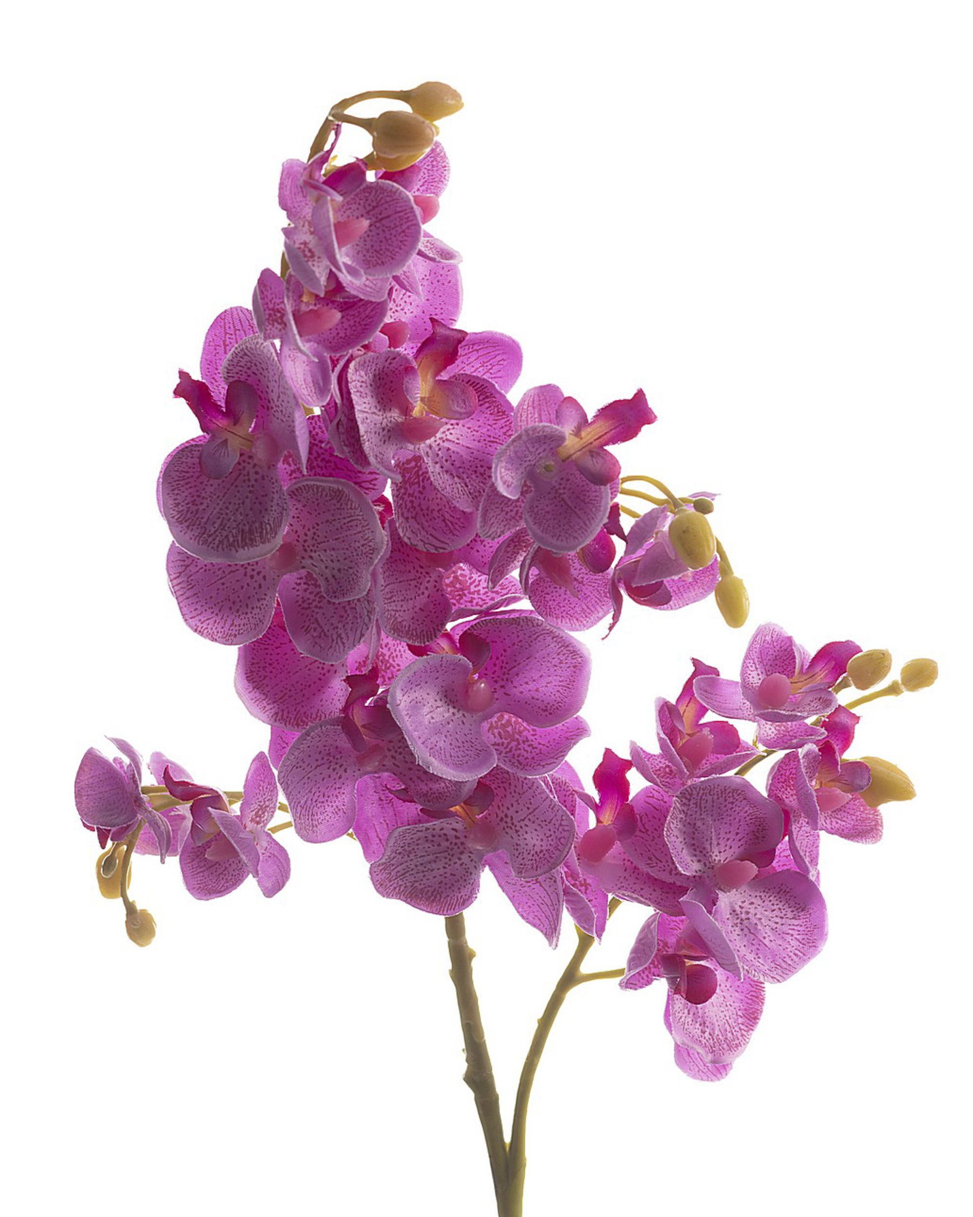 Kunstbloem Orchid Fuchsia 55cm (hover)