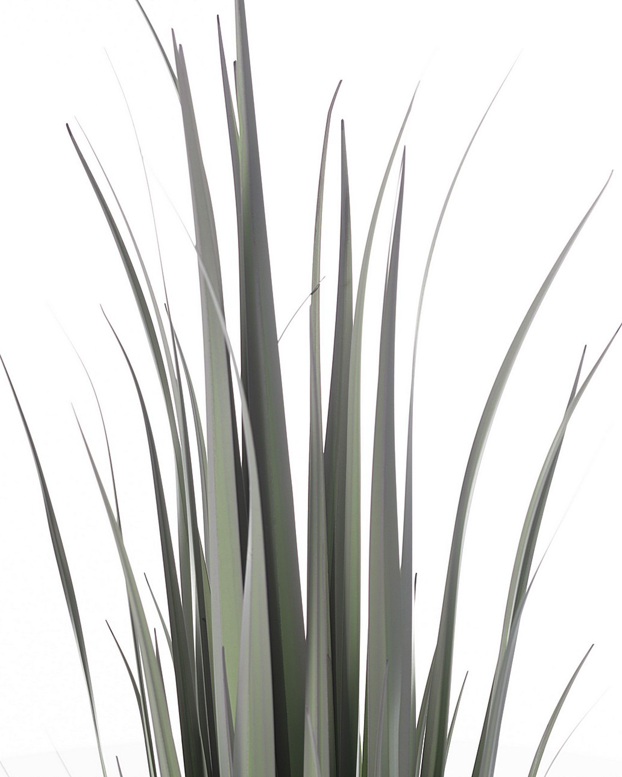 Decoratie Grass 92cm (hover)