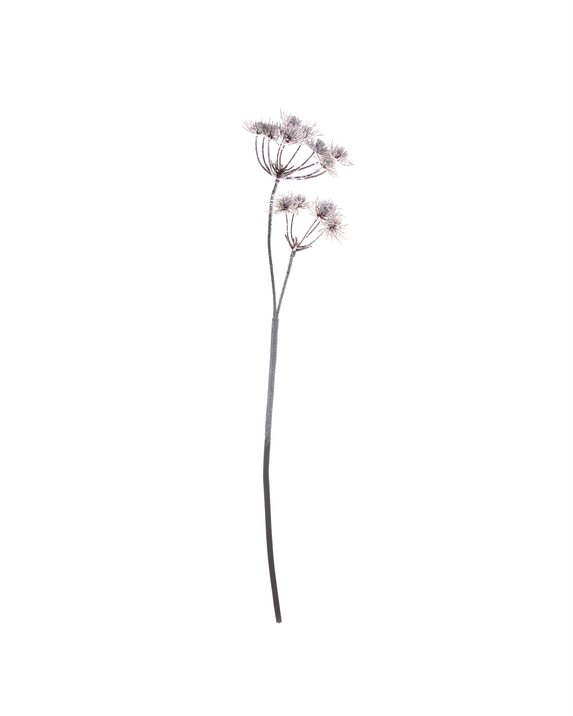 Decoratieve Distel Wit