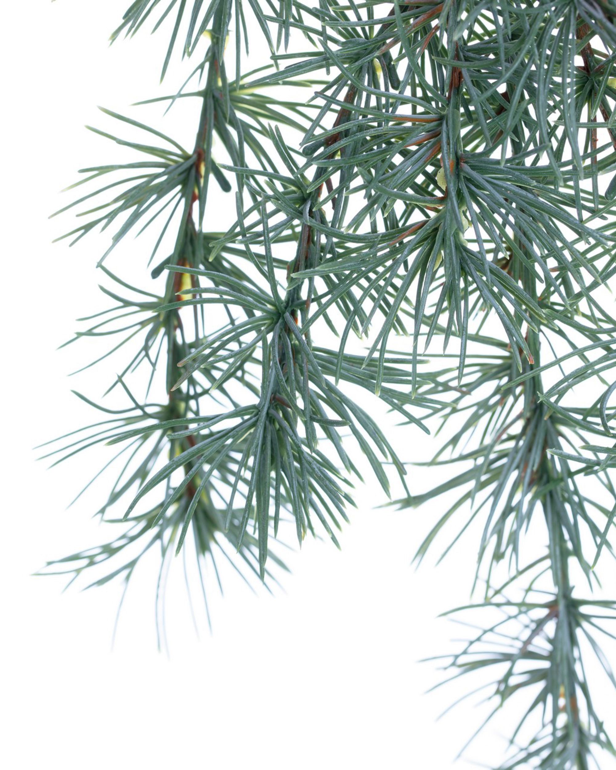 Decoratieve Tak Christmas Tree 30x2x60 cm Lichtgroen (hover)