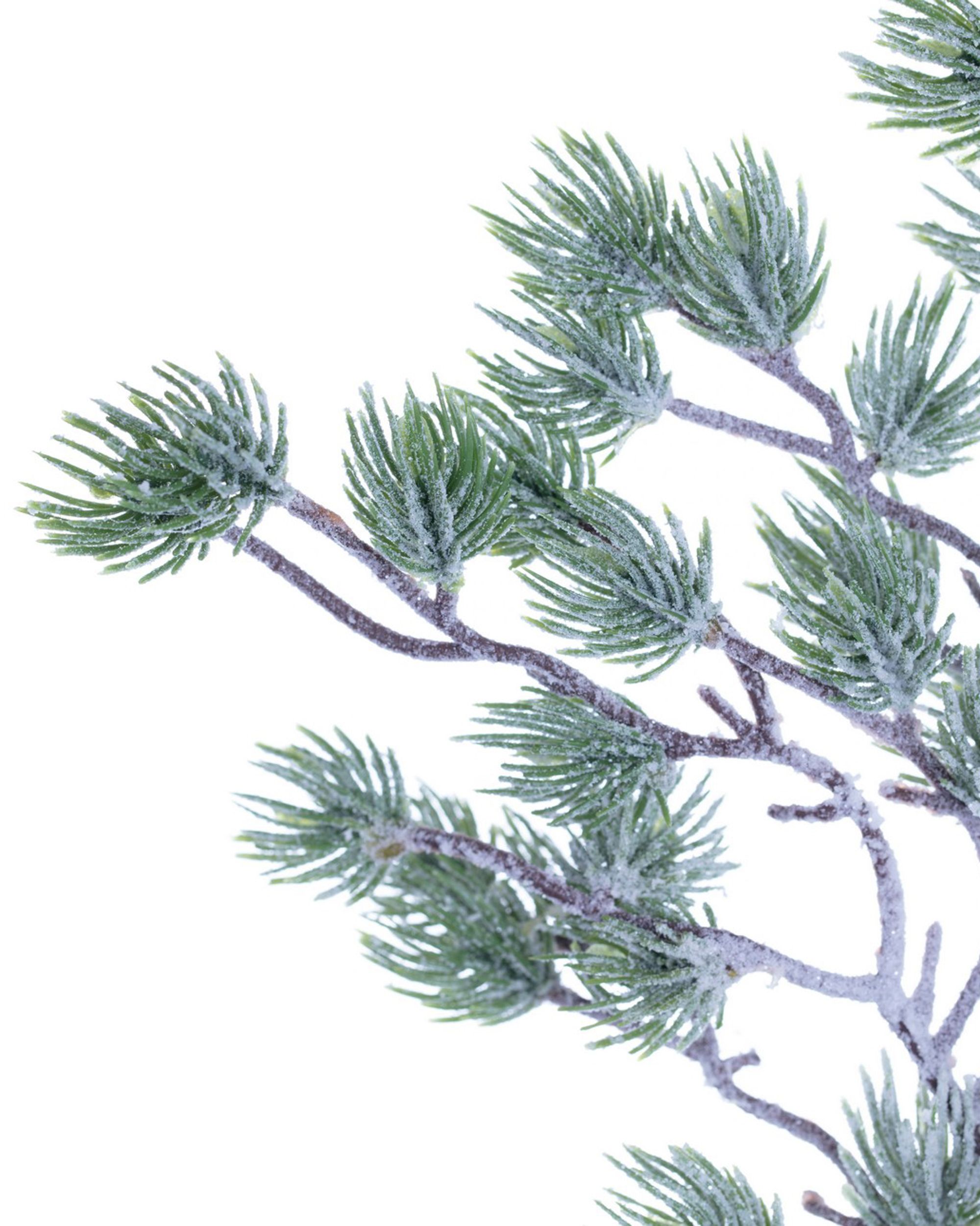 Decoratieve Besneeuwde Tak 20x2x62 cm Lichtgroen (hover)