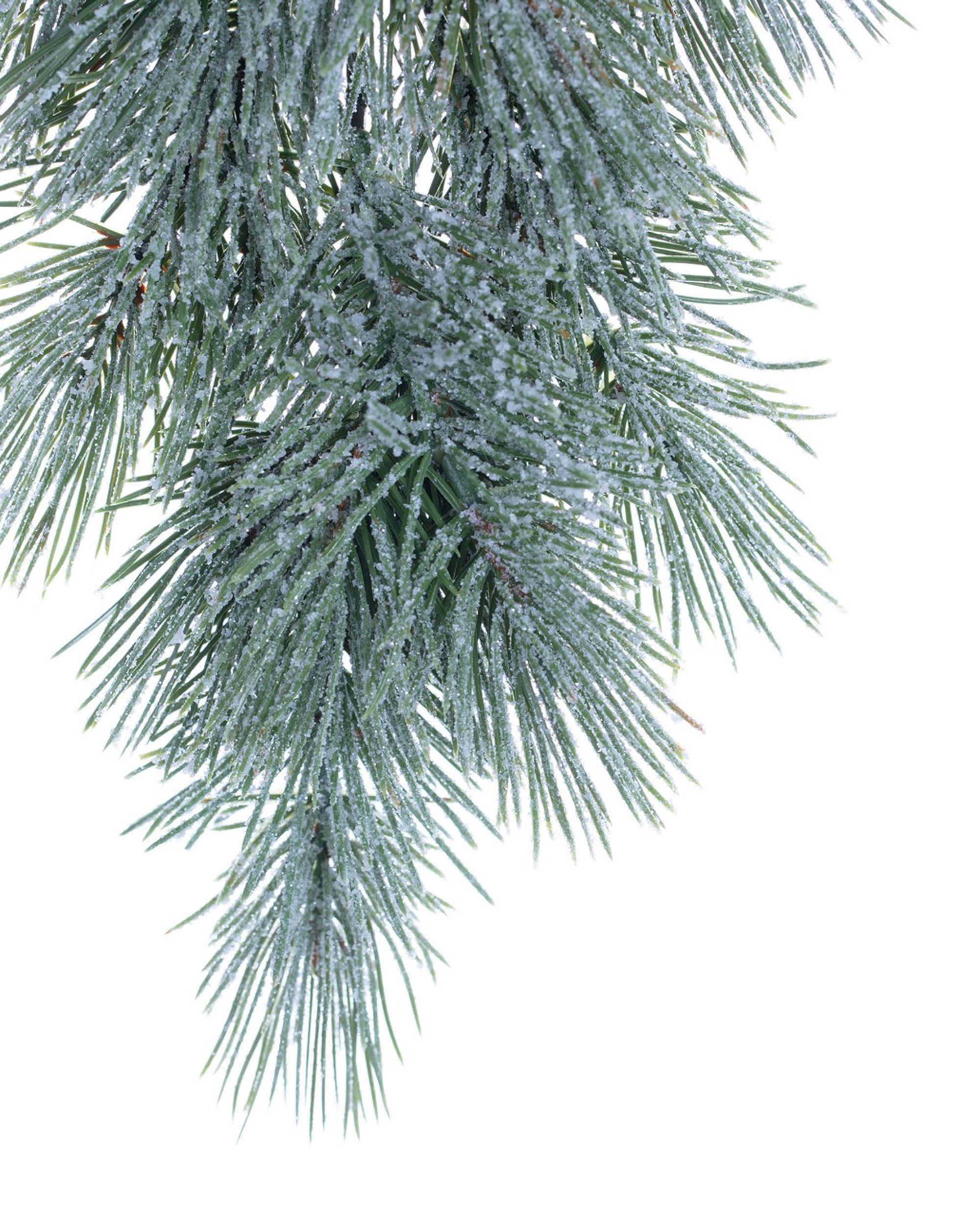 Dennentak Frosted Conifer (hover)