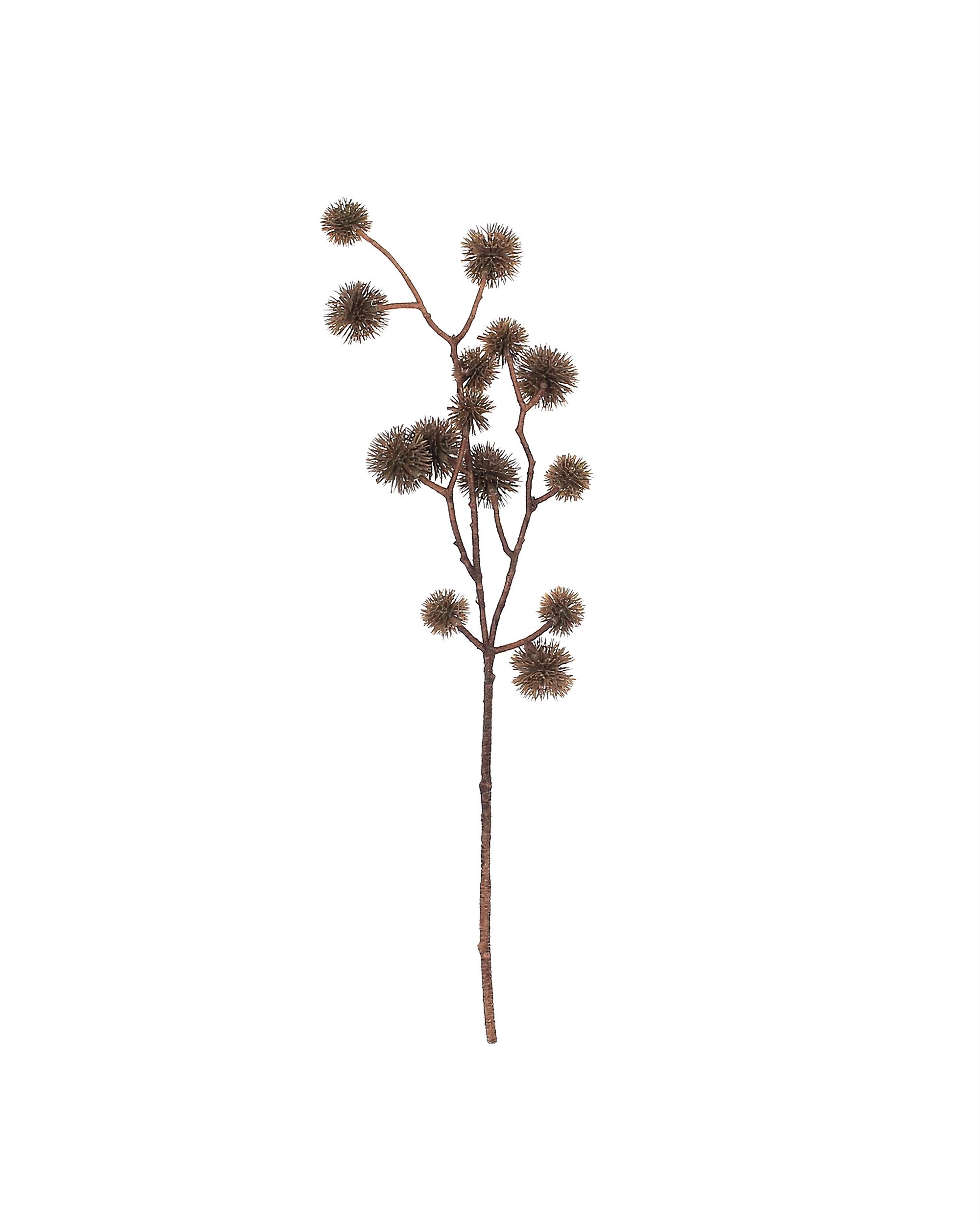 Decoratie Castania  50 cm