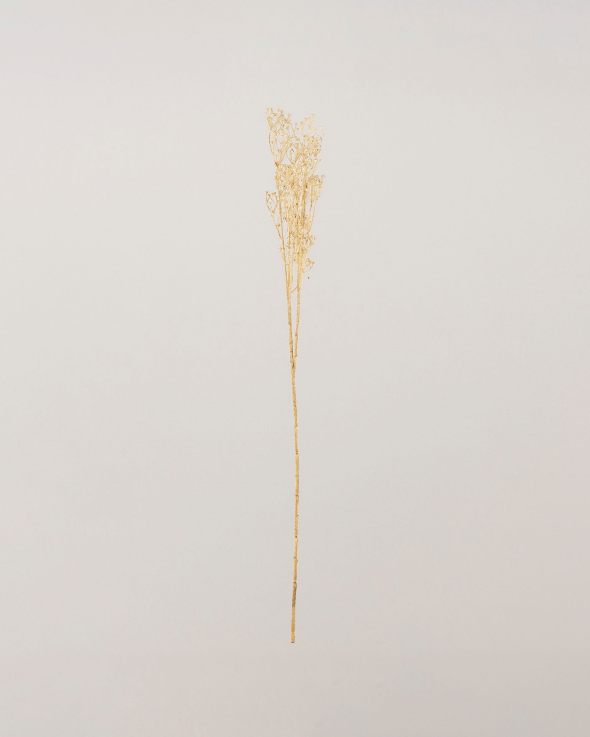 Decoratieve Tak Frostbloom 80 cm