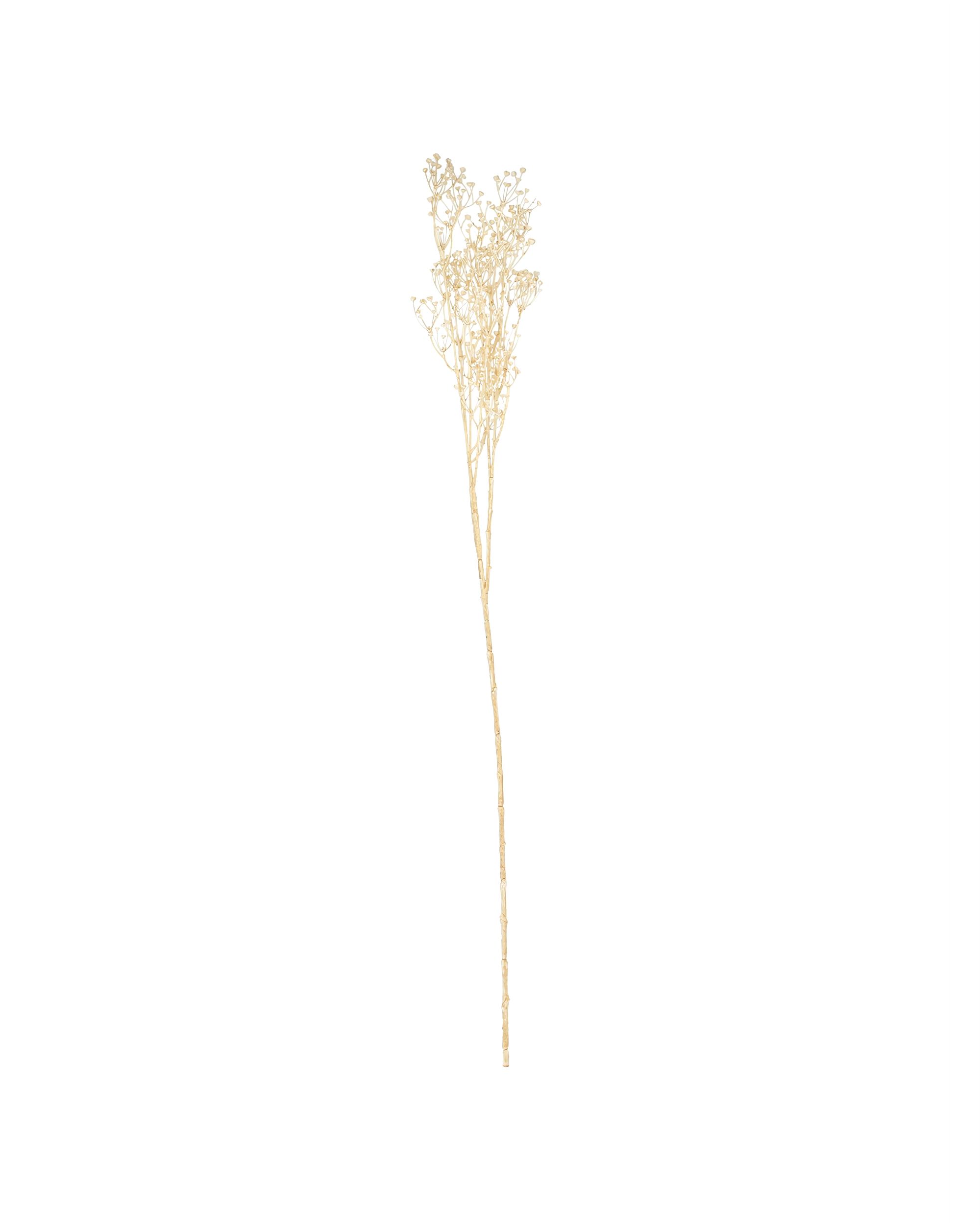 Decoratieve Tak Frostbloom 80 cm