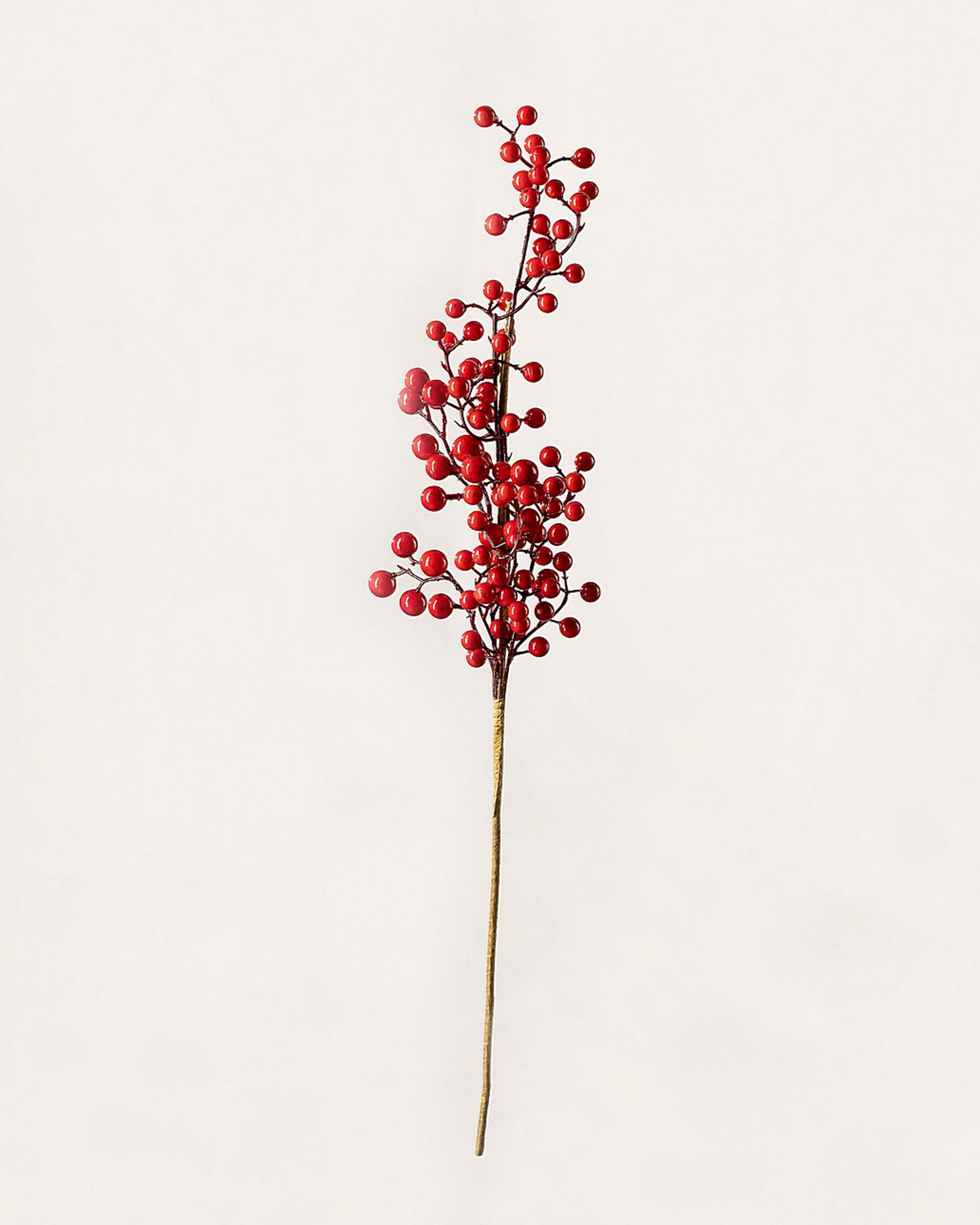 Decoratieve tak Cranberry 66 cm