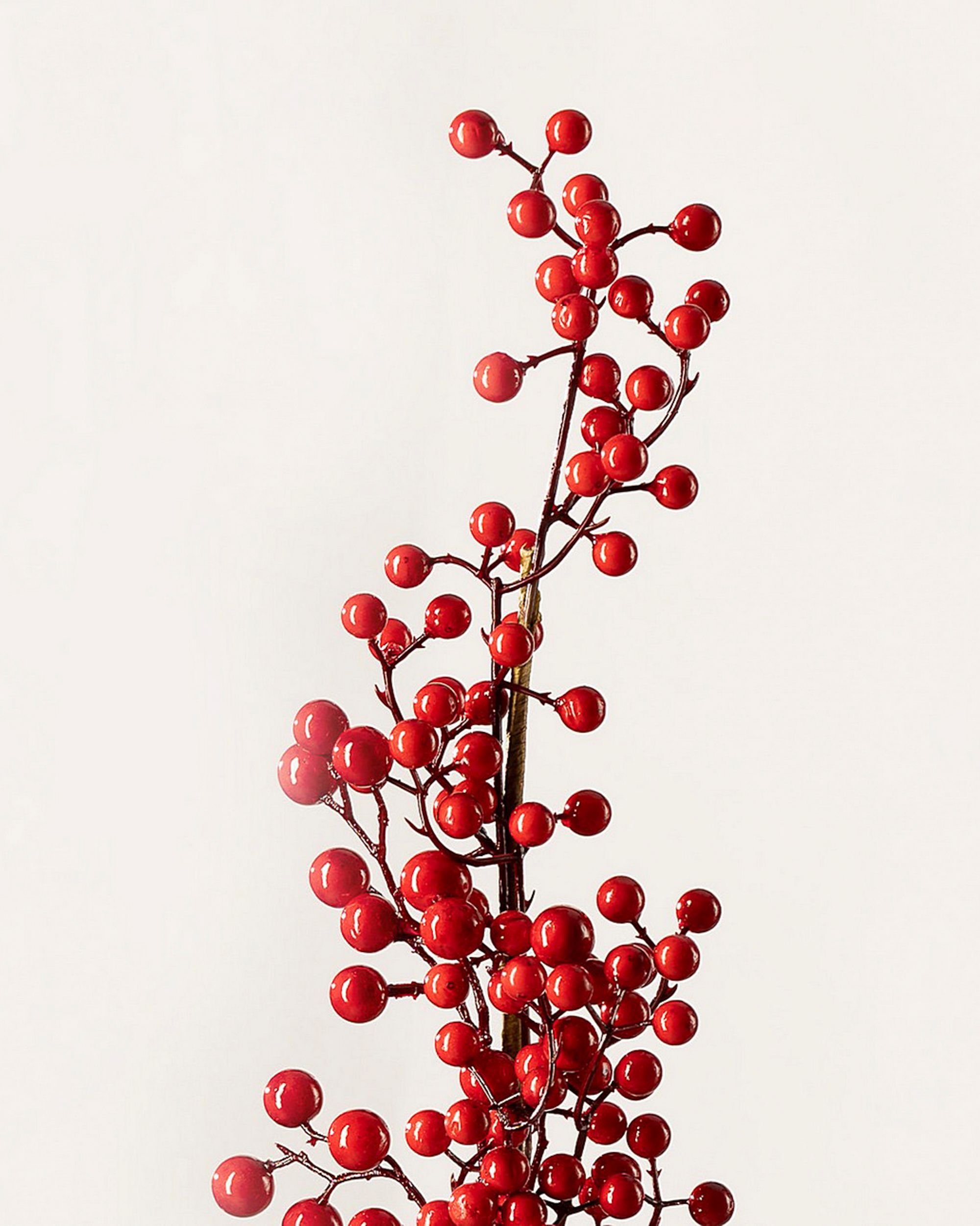 Decoratieve tak Cranberry 66 cm (hover)