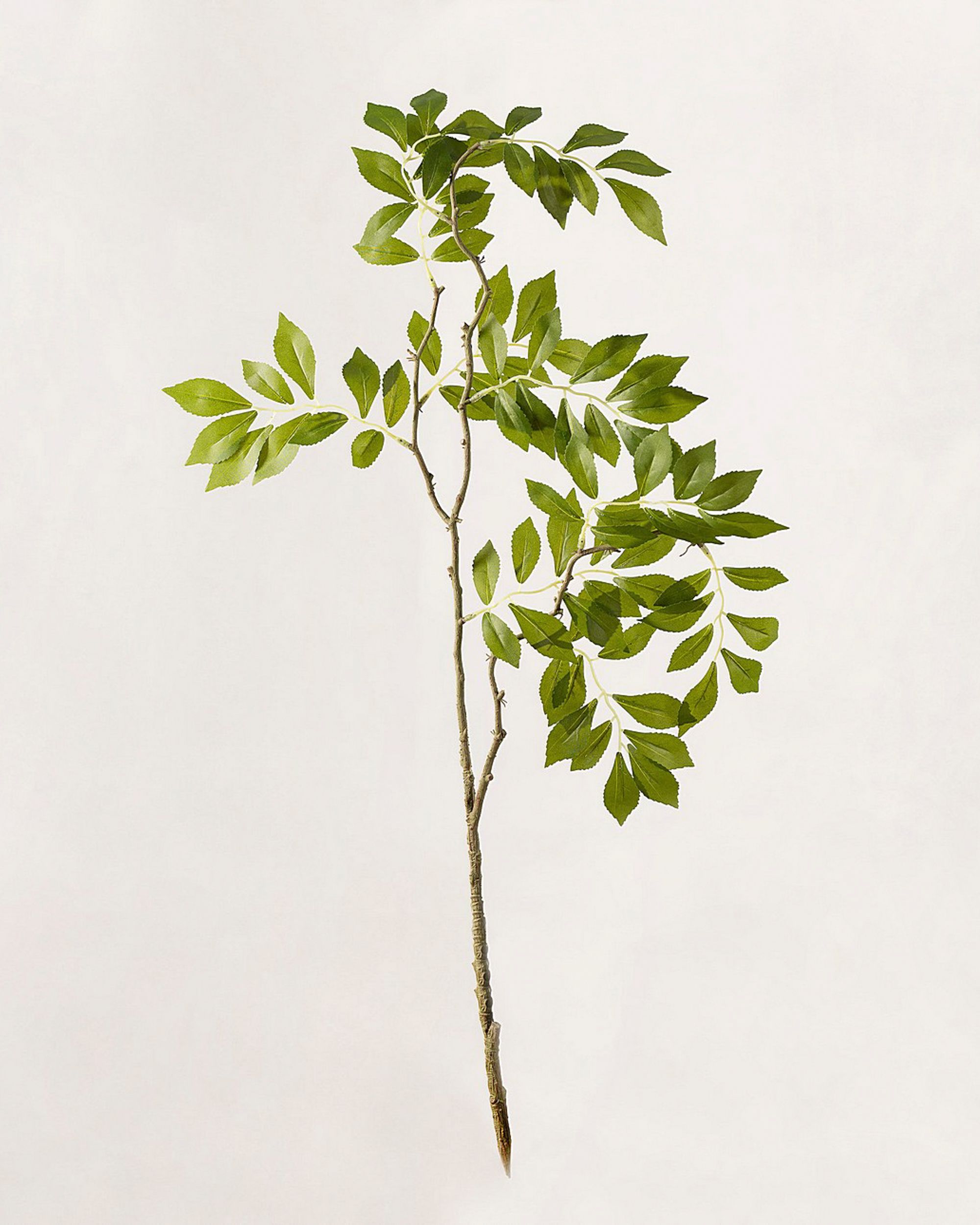 Decoratieve tak Green Leaf 80 cm