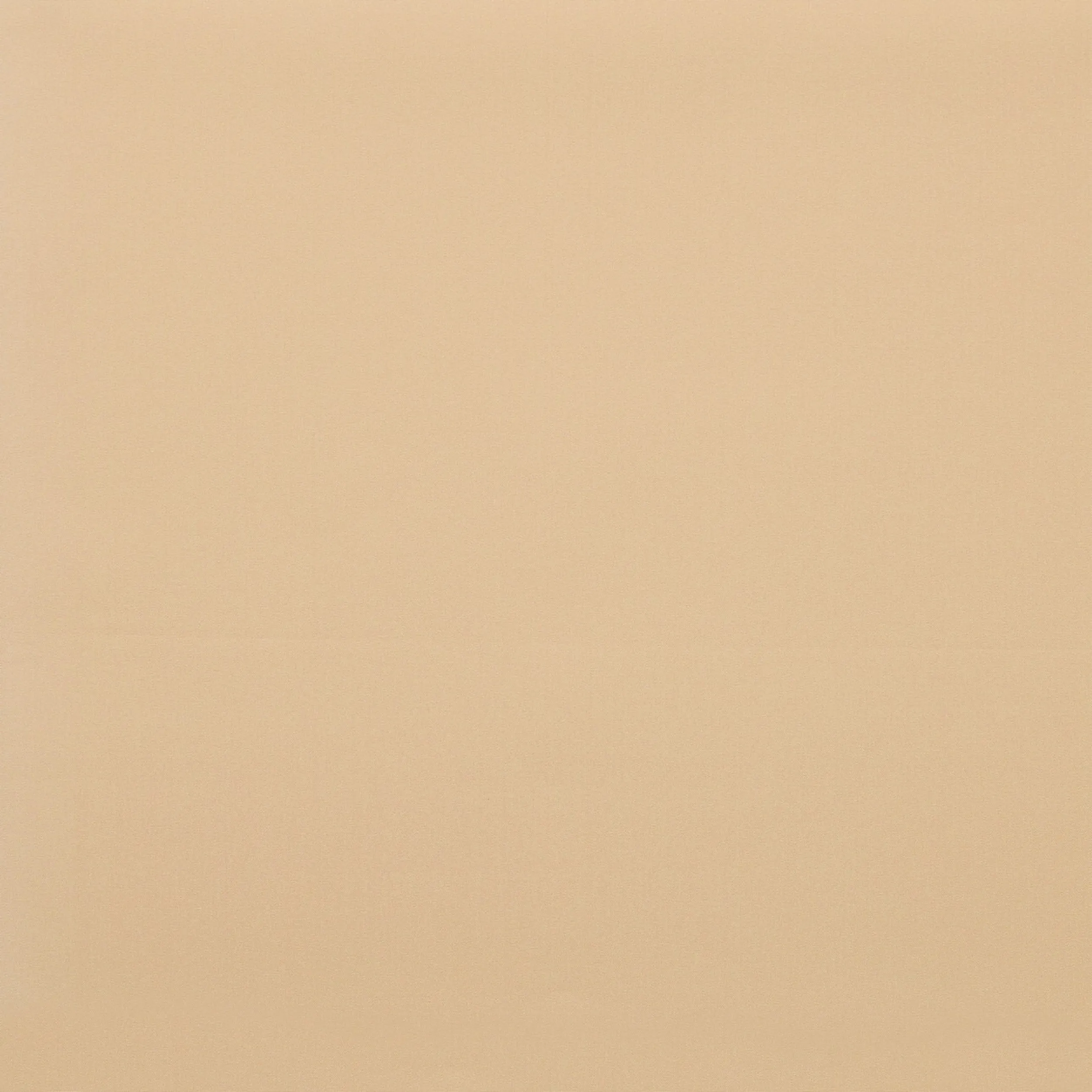 Blackout – rolgordijnen MGR204 beige